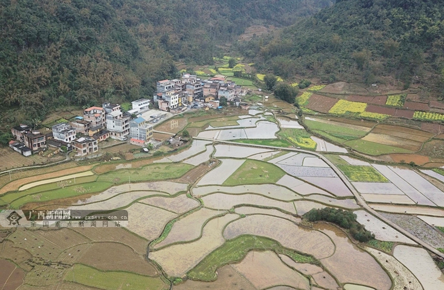 3月10日航拍的罗城仫佬族自治县天河镇白任村田园景色.