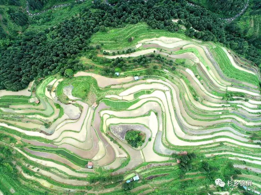 锦屏县河口乡裕和梯田景色(无人机拍摄)