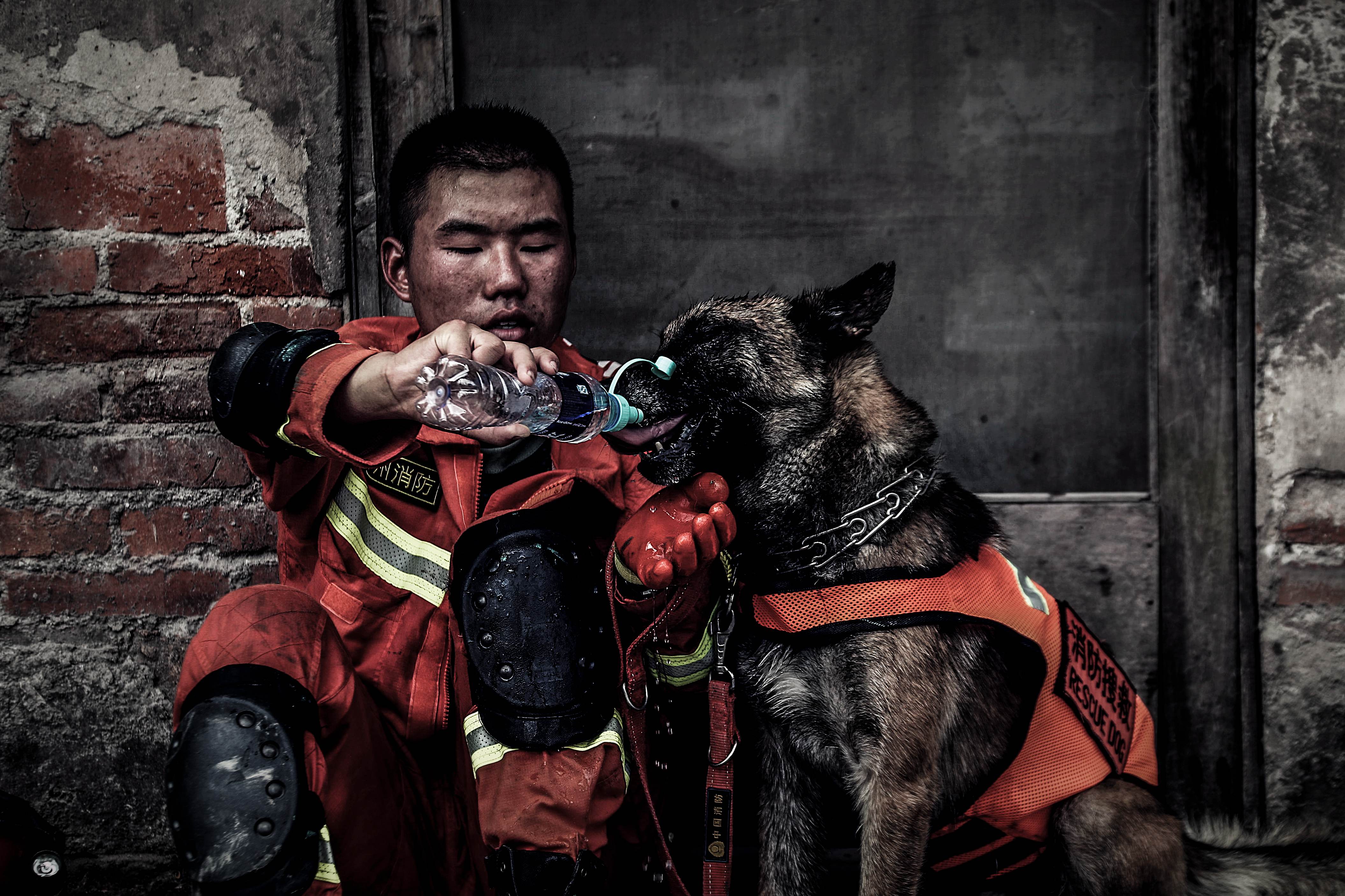 河南安阳消防员摄影作品《无声战友》获国际大赛金奖