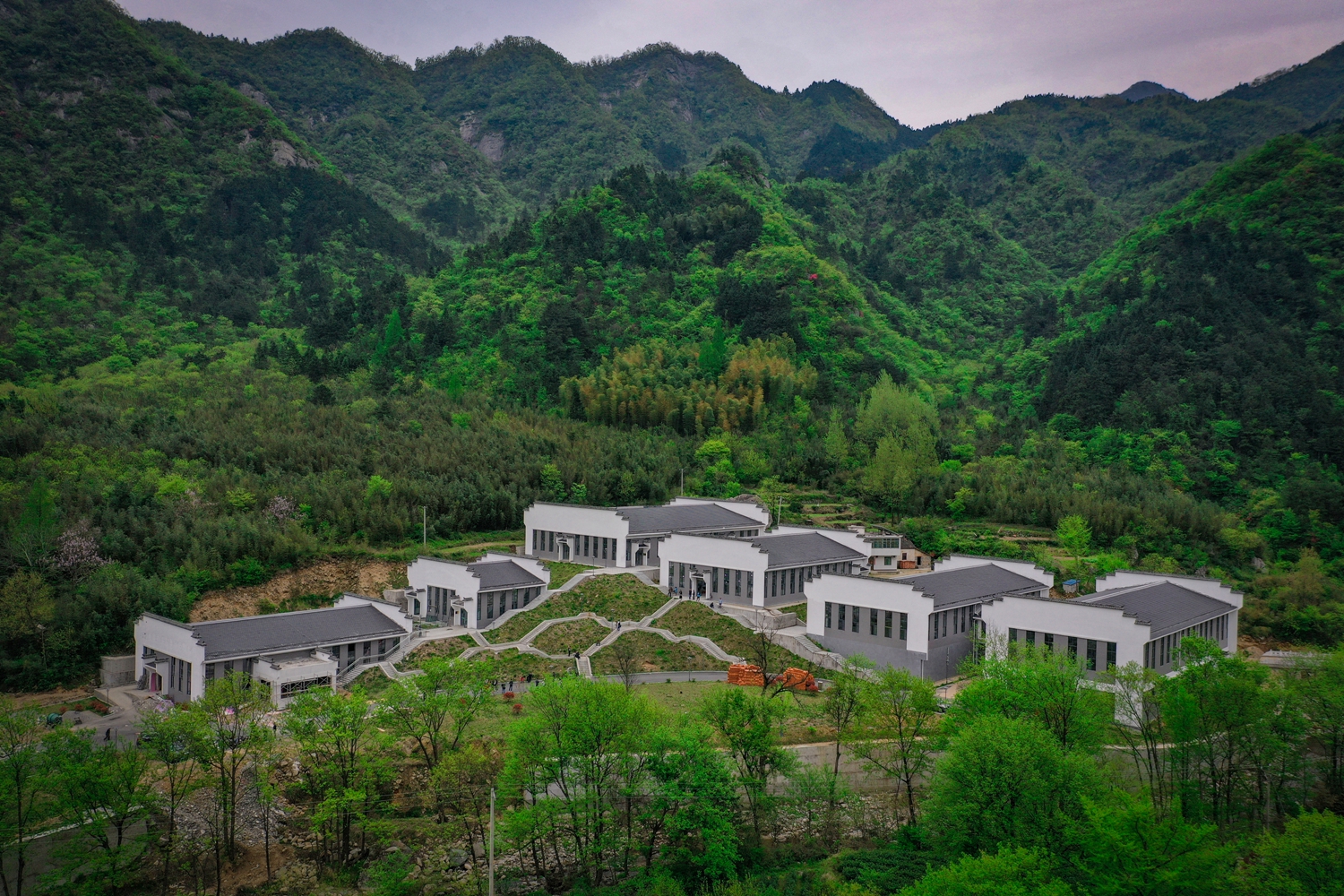 金寨县花石乡大湾村一排排茶叶扶贫车间厂房