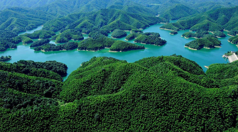 湖北省咸宁星星竹海风景区