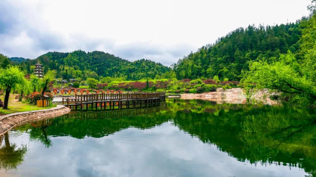 多彩贵州网 多彩贵州网贵州频道 贵州旅游   播州花茂旅游景区