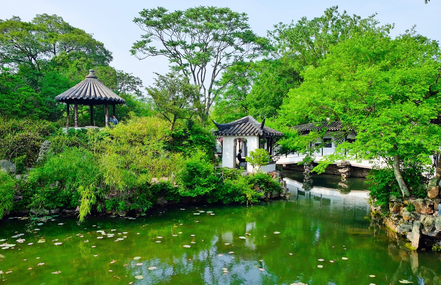 苏州拙政园:江南古典园林的代表