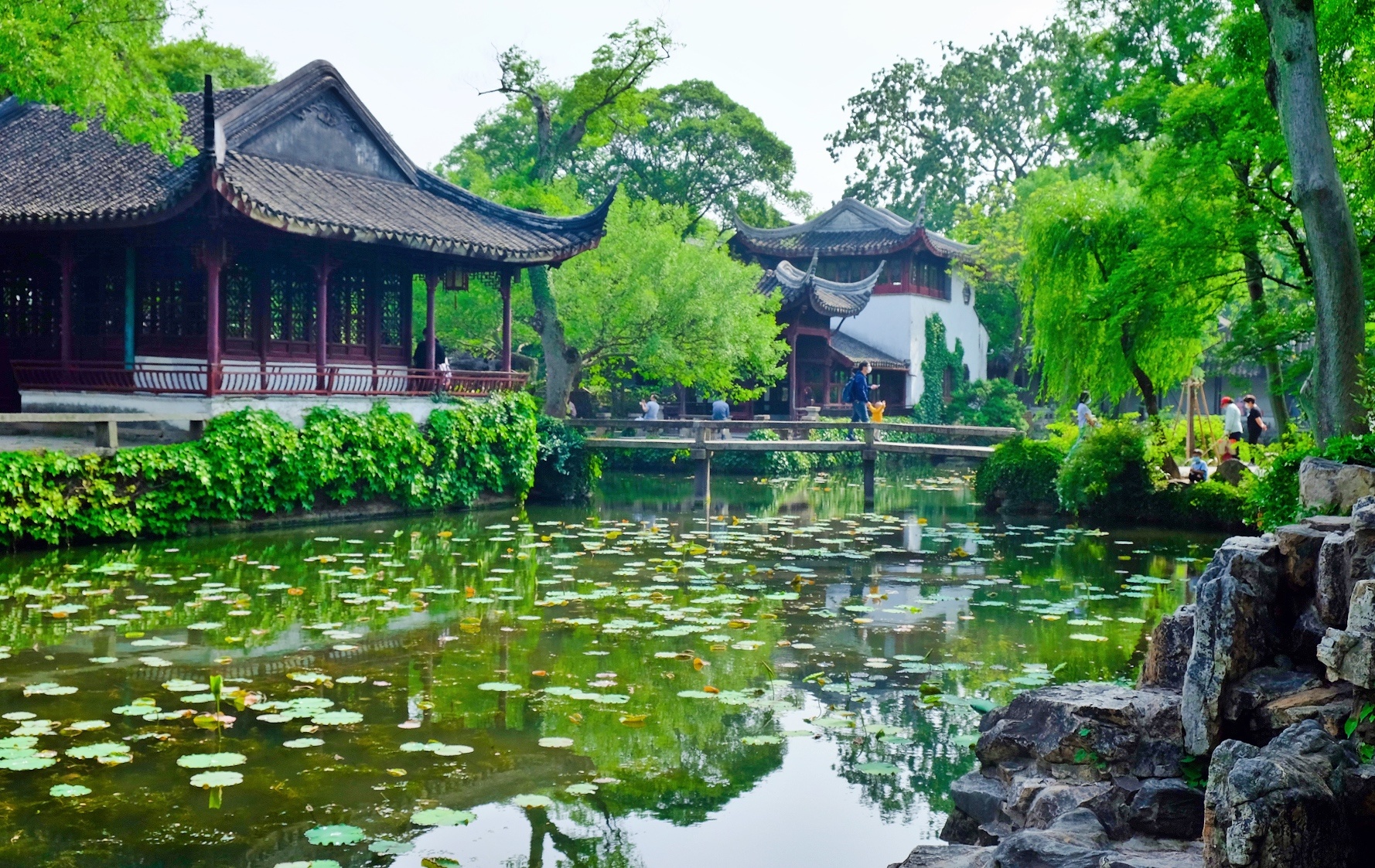 苏州拙政园:江南古典园林的代表