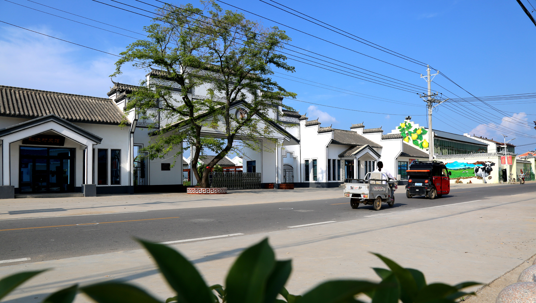 图说|河南宁陵孙迁村:村在景中建 人在画中行