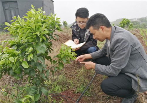 "蒋先海如是说.