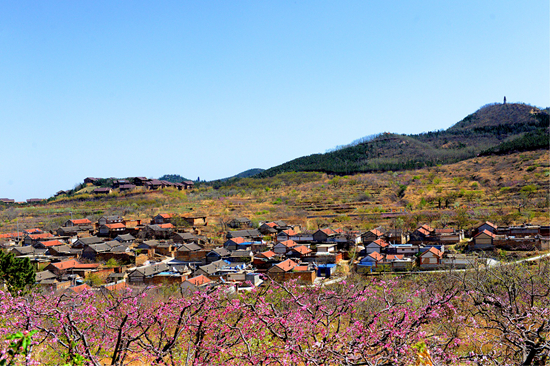 基层风采