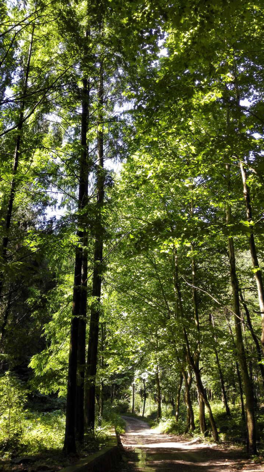 山青水碧入画屏 永康这些地方闻名省内外