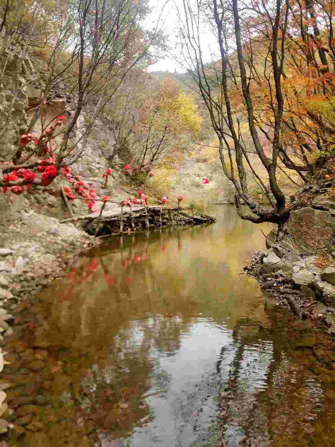辽宁辽阳:暴马川秋色