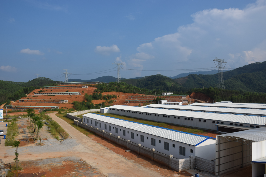 广西梧州市龙圩区产业扶贫:支部强 产业兴 群众富