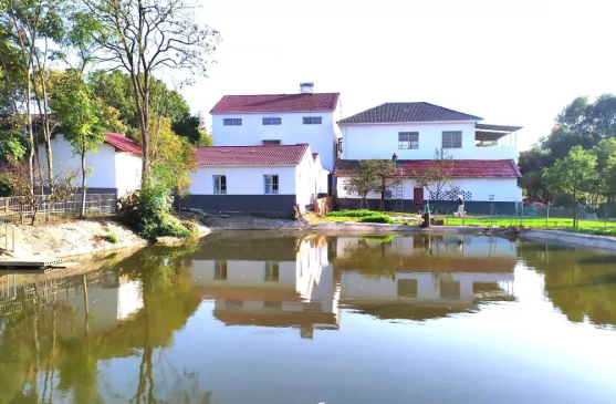 【乡情乡愁】湖北荆州马山镇联山村:环境整治增颜值,美丽乡村展新貌