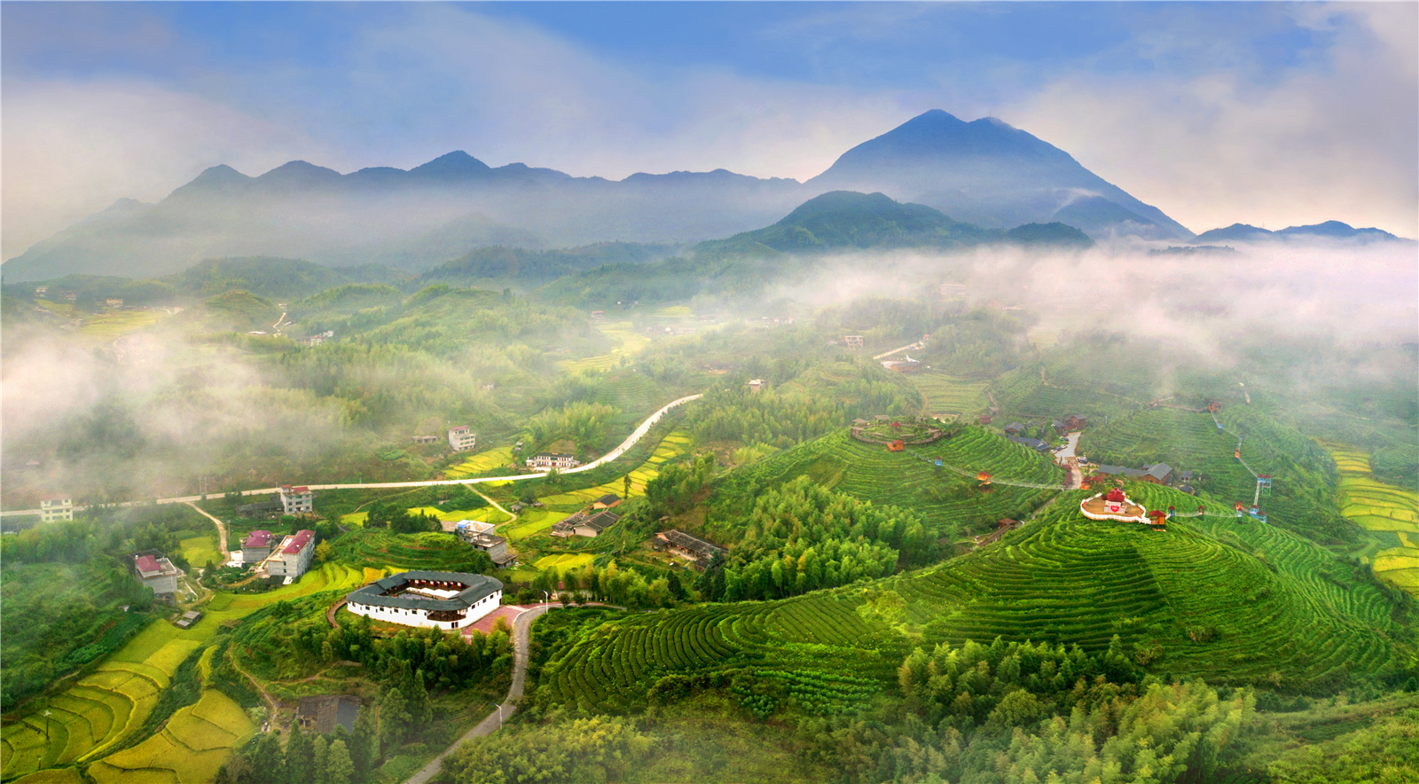 每日一景 | 福建大田屏山乡:生态茶园风光好