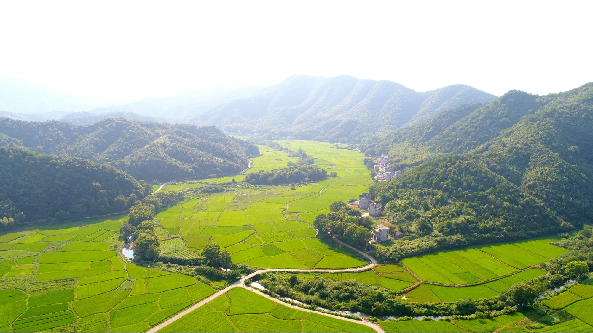 江西徐湾村:省级贫困村的脱贫路