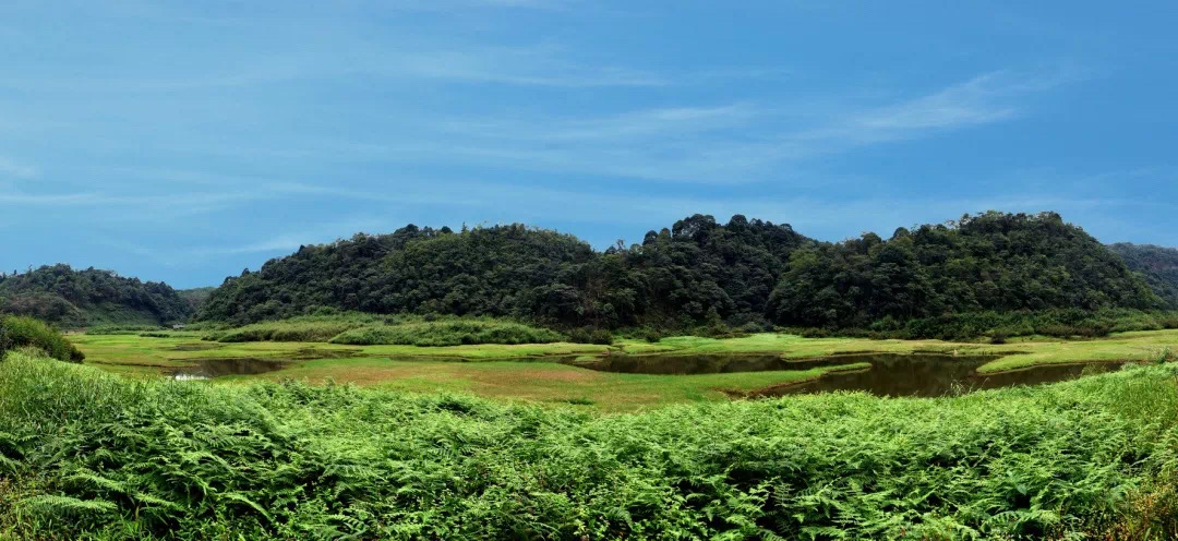 乐游天府四川雨城世外乡村海子山值得期待