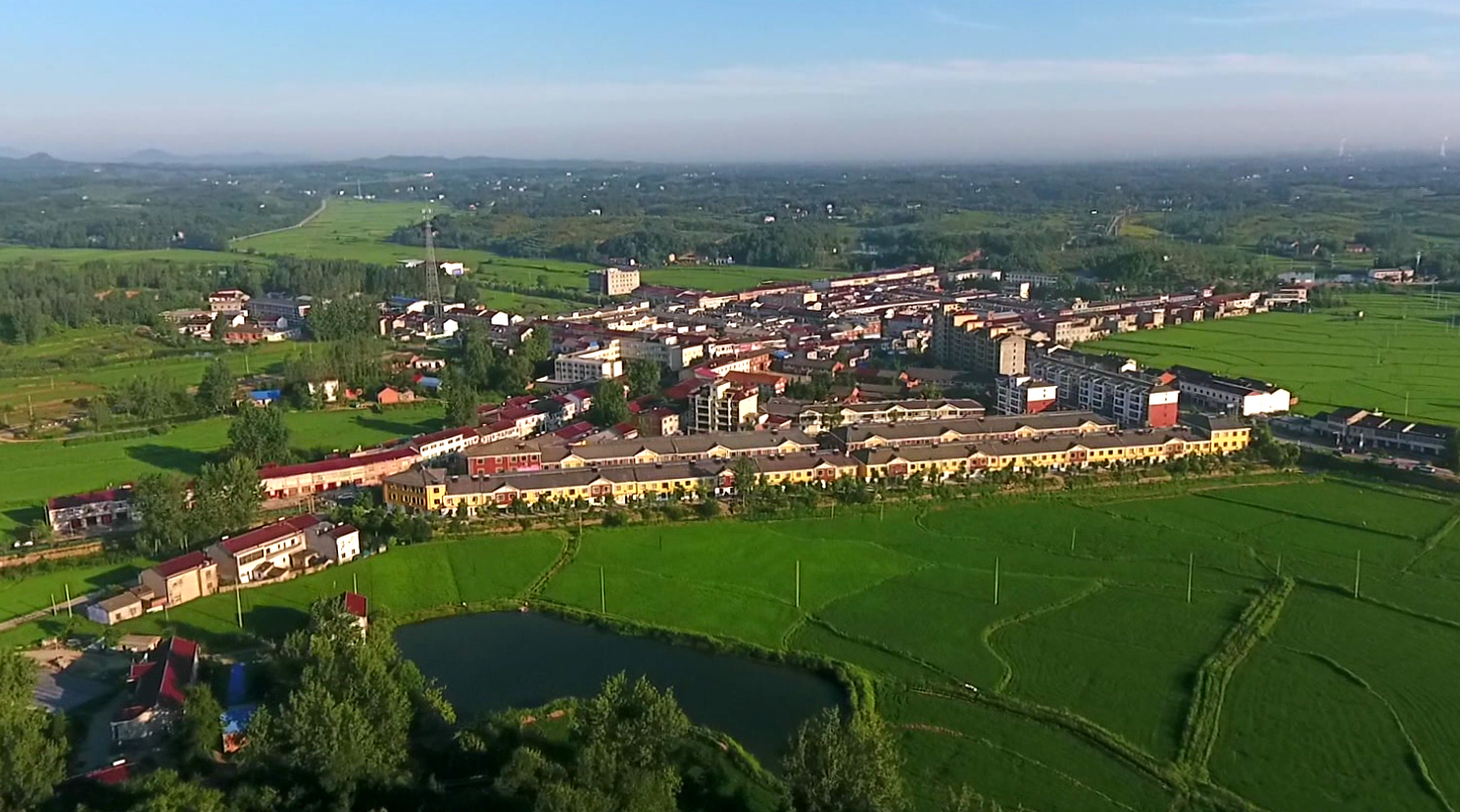 安徽六安:搭上"电商快车",开启乡村振兴"加速度"