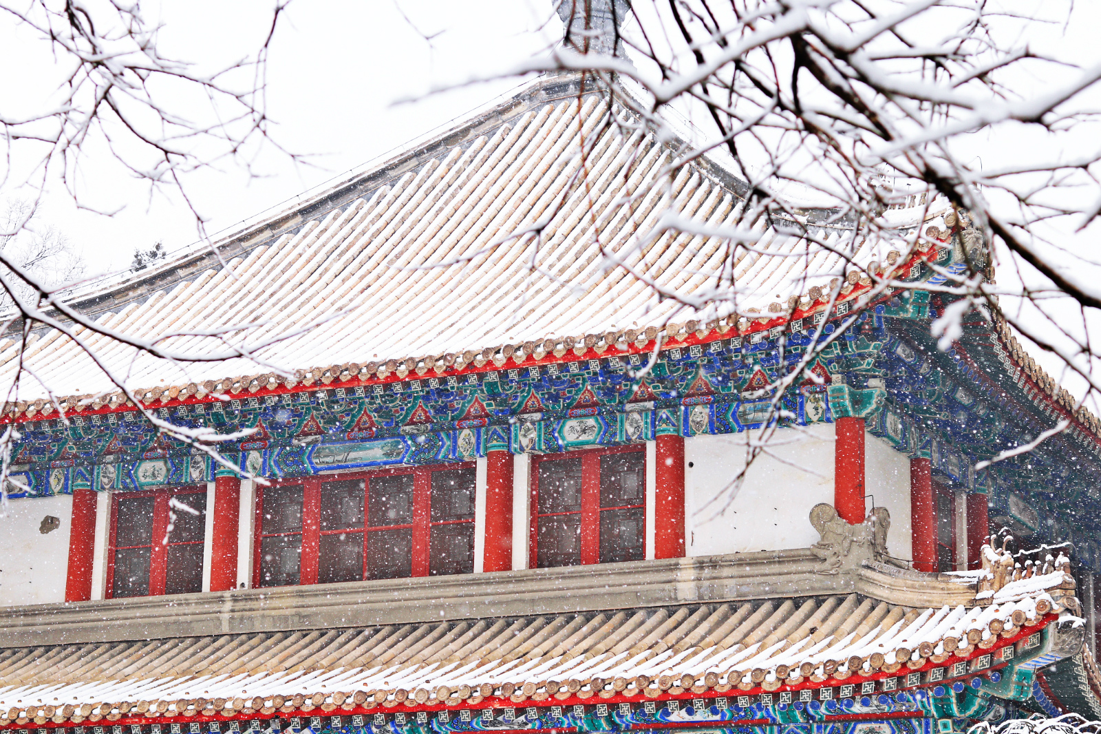 未名湖底泛起诗人的浅唱依稀的塔影里传来历史的跫音携手共赏红楼飞雪