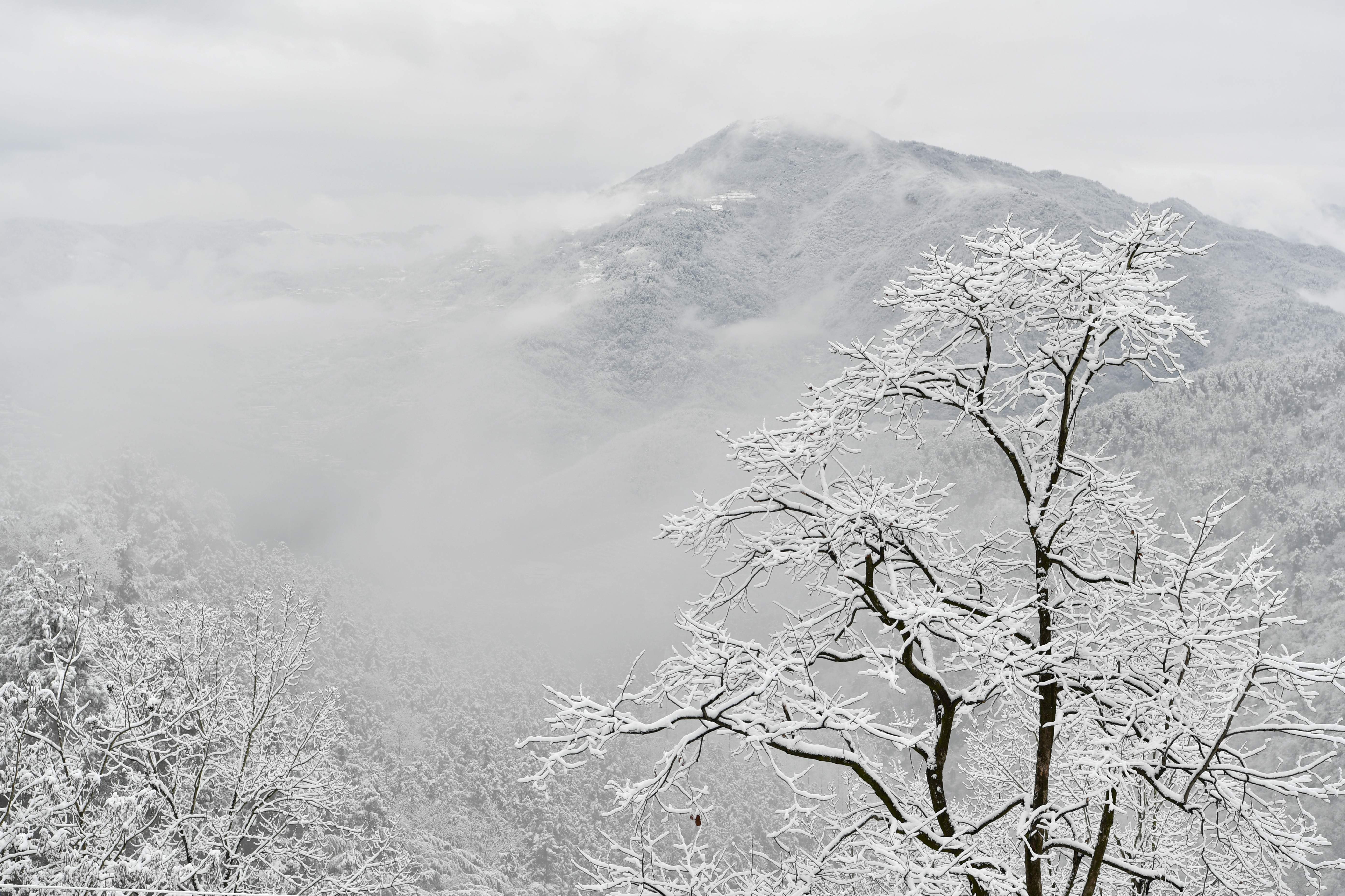 【每日一景】湖北保康:雪后山乡美如画