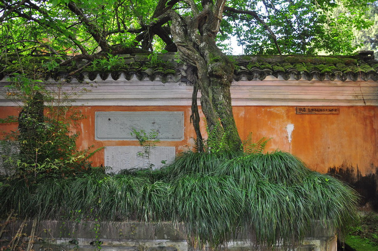 走進千年古剎國清寺