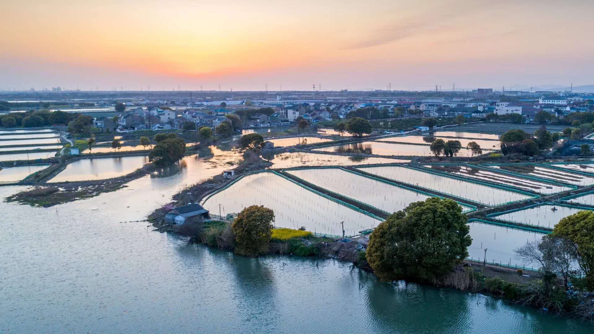 吴江七都看江村之晨