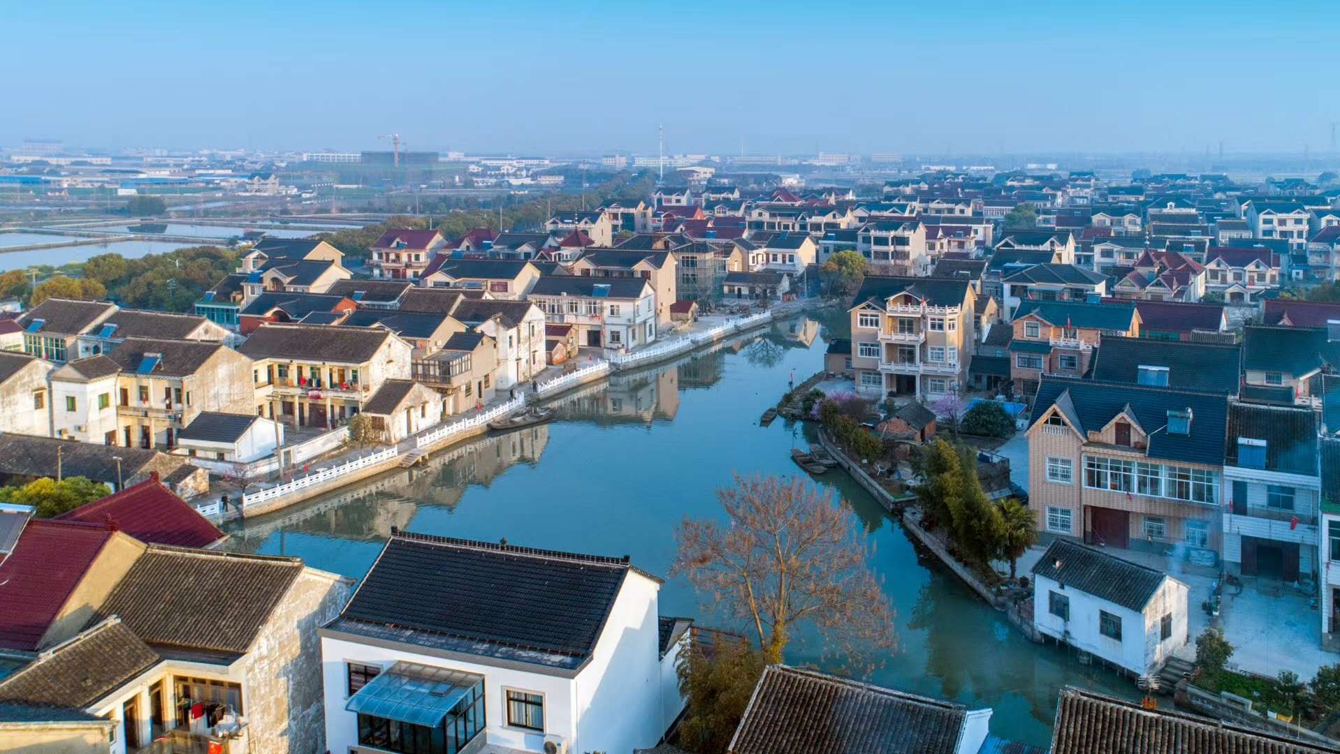 吴江七都看江村之晨