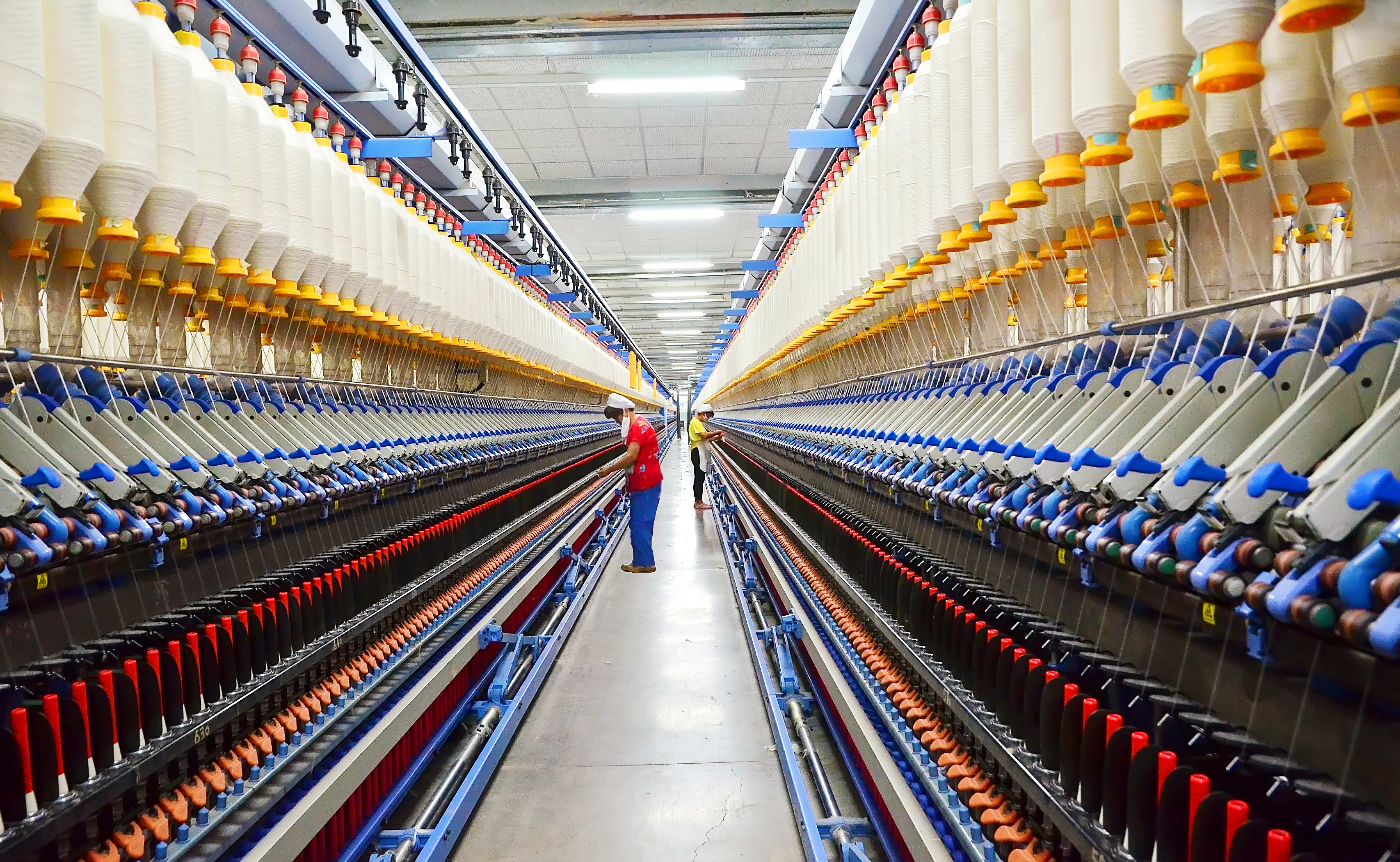 河南新野:平畴沃野追春光