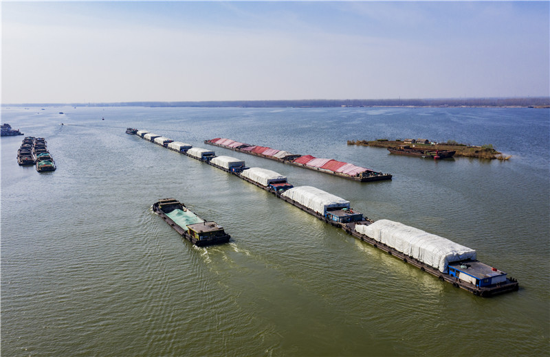 繁忙的大运河运河春光