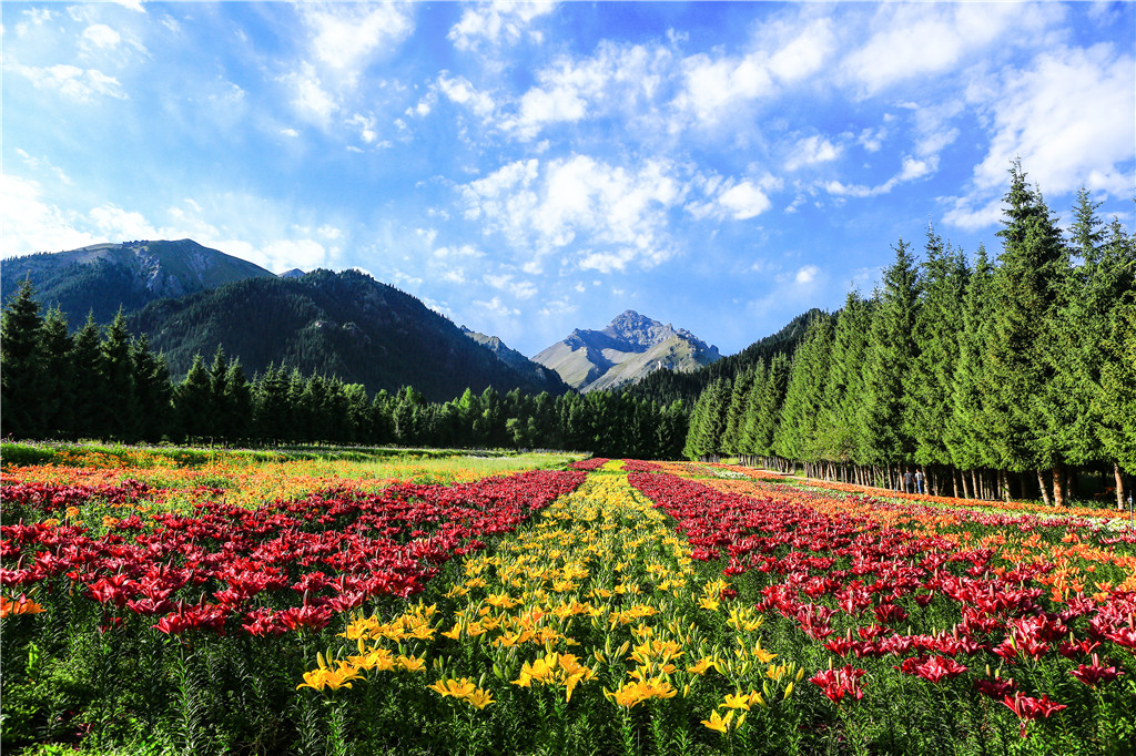 新疆：强基础补短板 推进旅游业提质升级