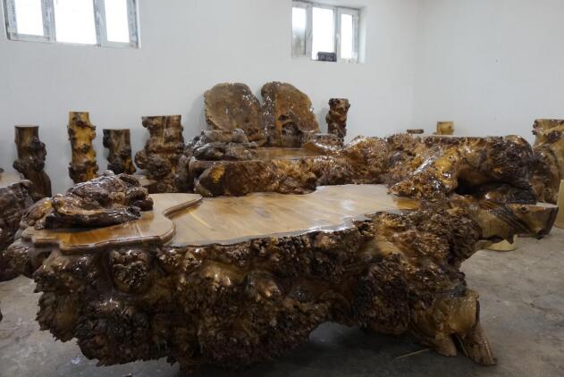 新疆兵团三师五十三团：庭院方寸地 多元创收路