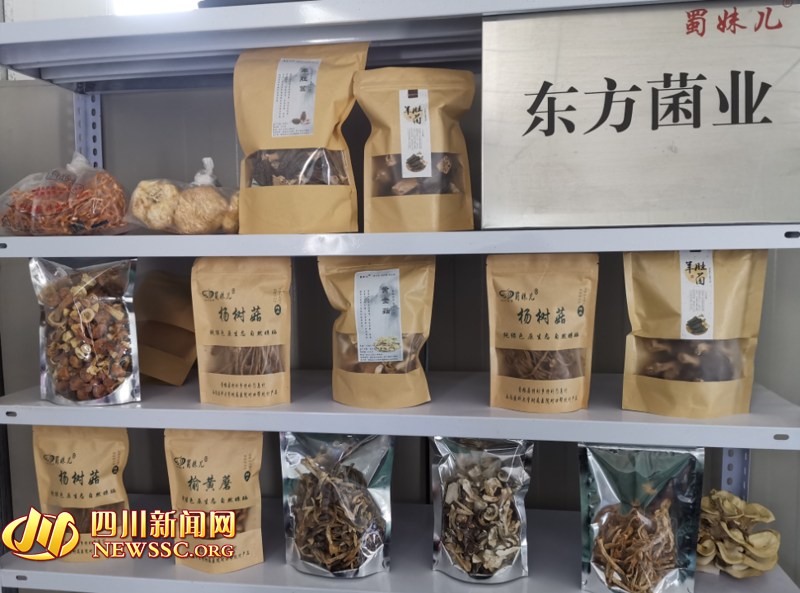 【扶贫一线】带老乡脱贫奔康 凉山普格女大学生辞去教师工作回...