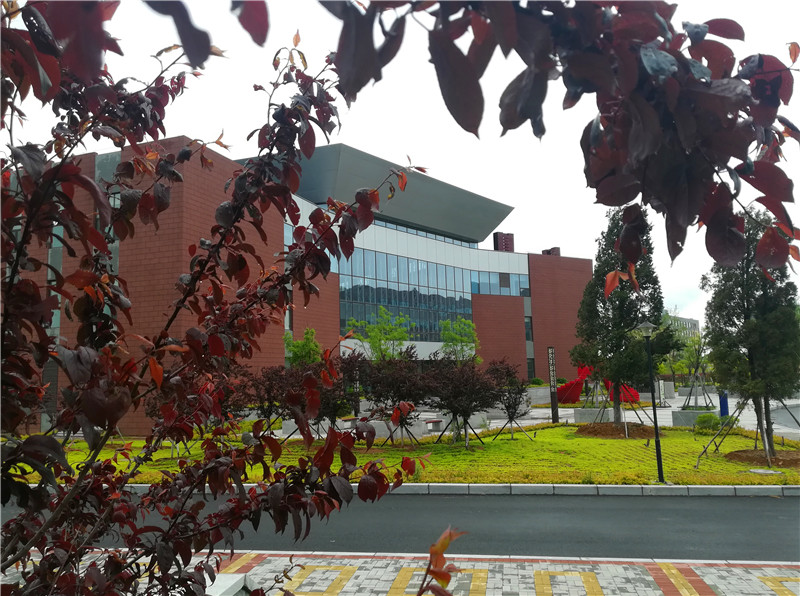 【最美辽宁】营口职业技术学院:细雨如丝润校园 清风徐来万物生