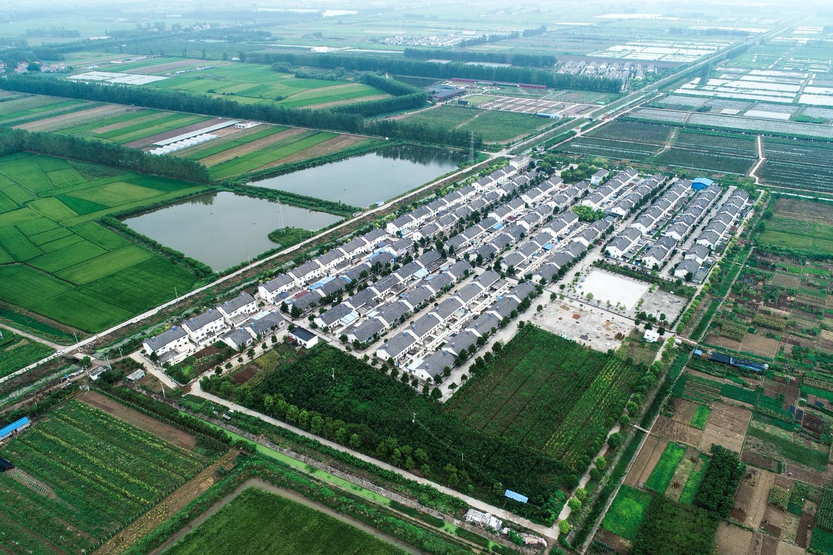 湖北荆州:打好农村人居环境整治收官之战