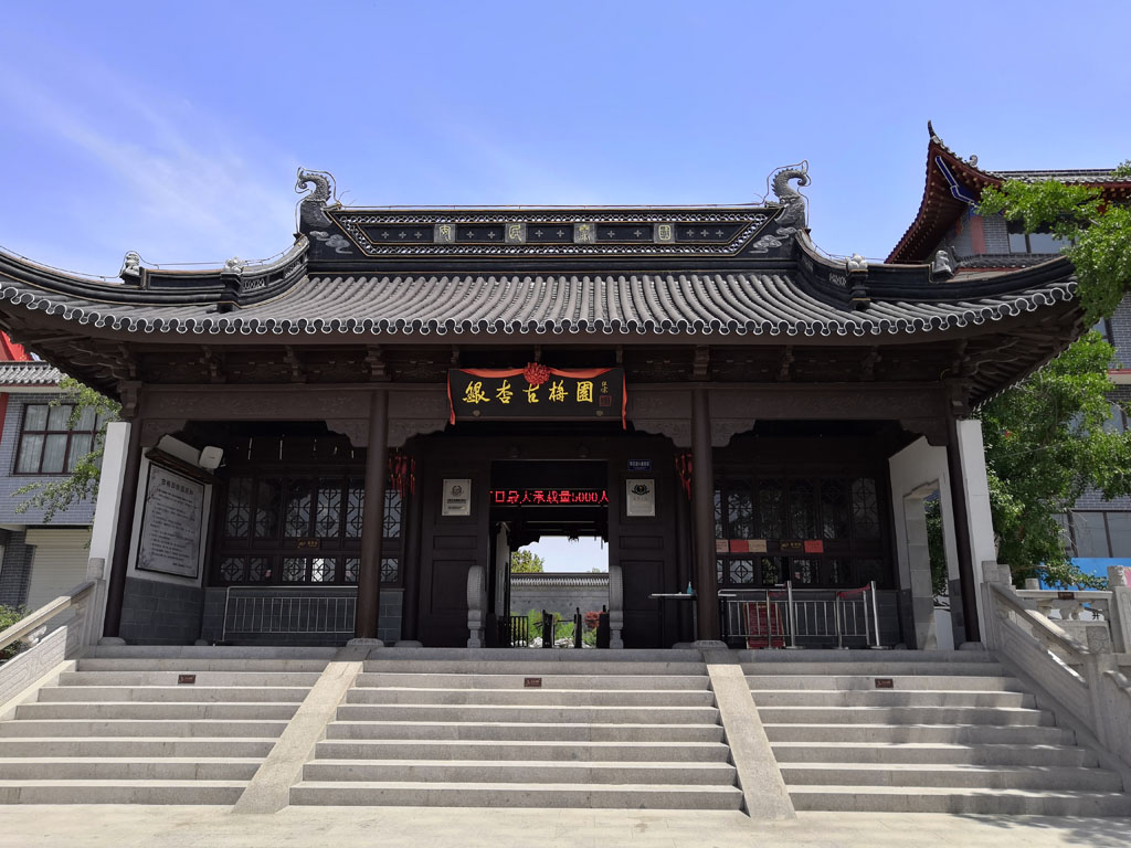 山东故事临沂市郯城县老神树3000年屹立不倒3小时抖落满身黄金甲