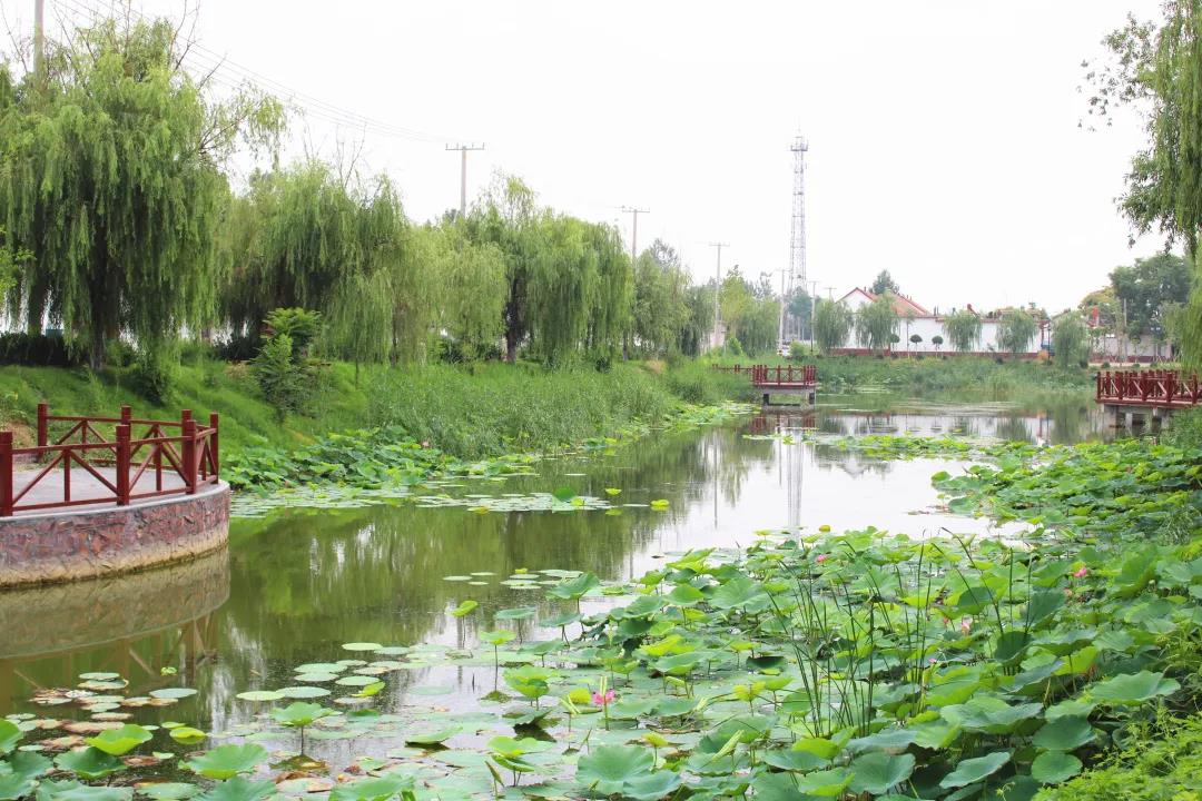 高渡村运粮河景观带