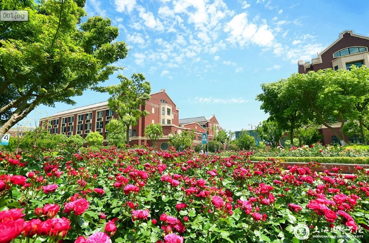“学习强国”学习平台