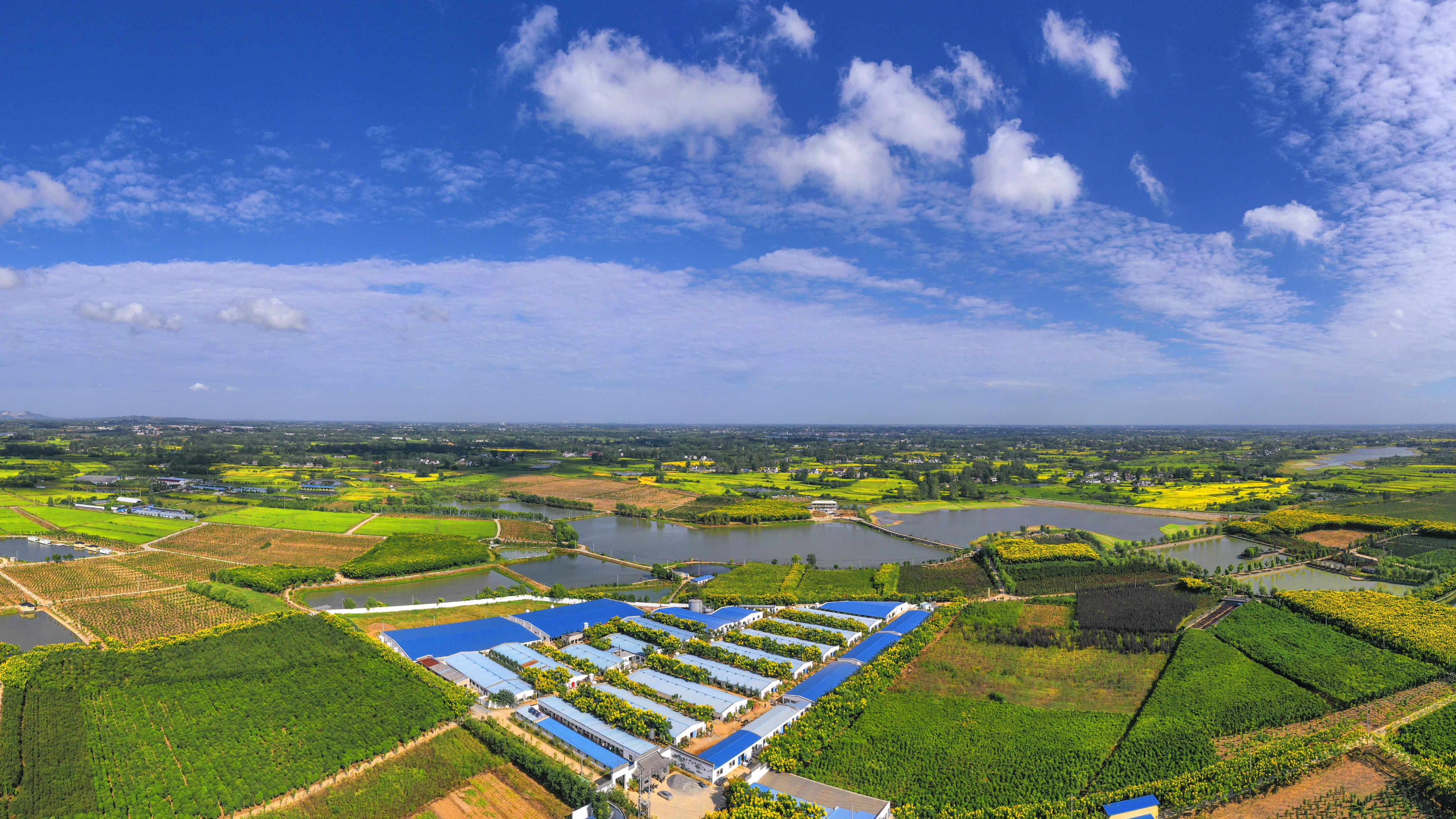 致富再闯新路子上午10点,位于沙集村南井组的原八一希望小学旧址内