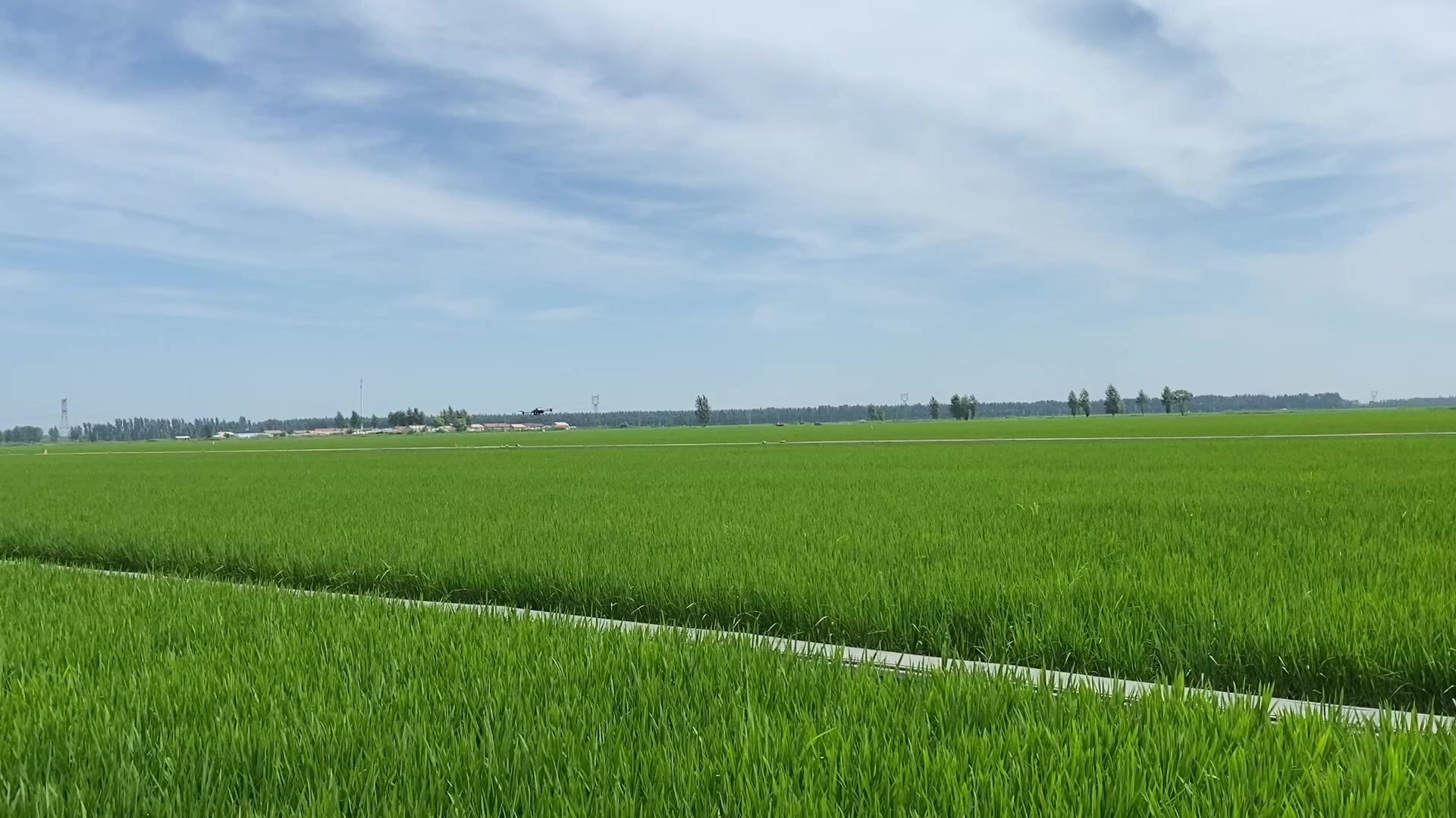 吉林市:从"零散"到"聚合",高标准农田建设让"粮田"变"良田"