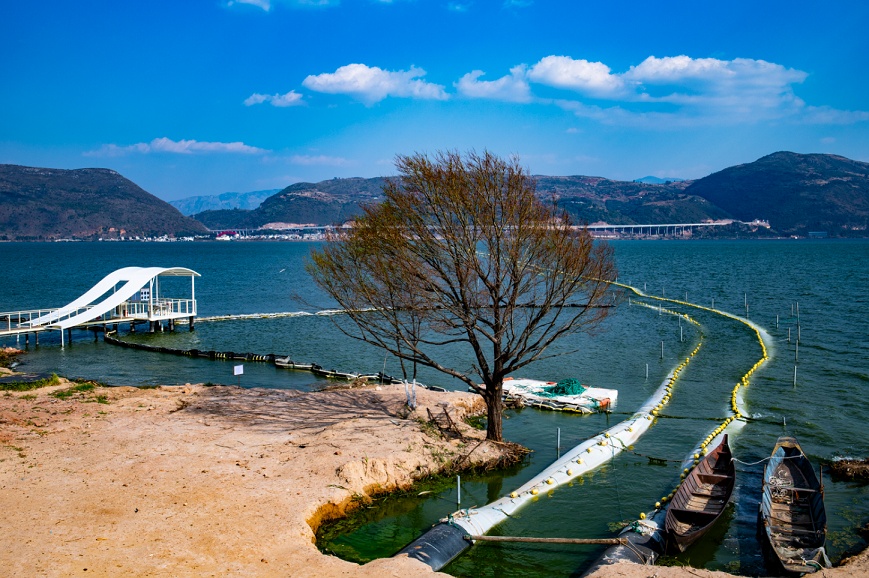 生态云南 | 星云湖水质变好 治理保护成效显著