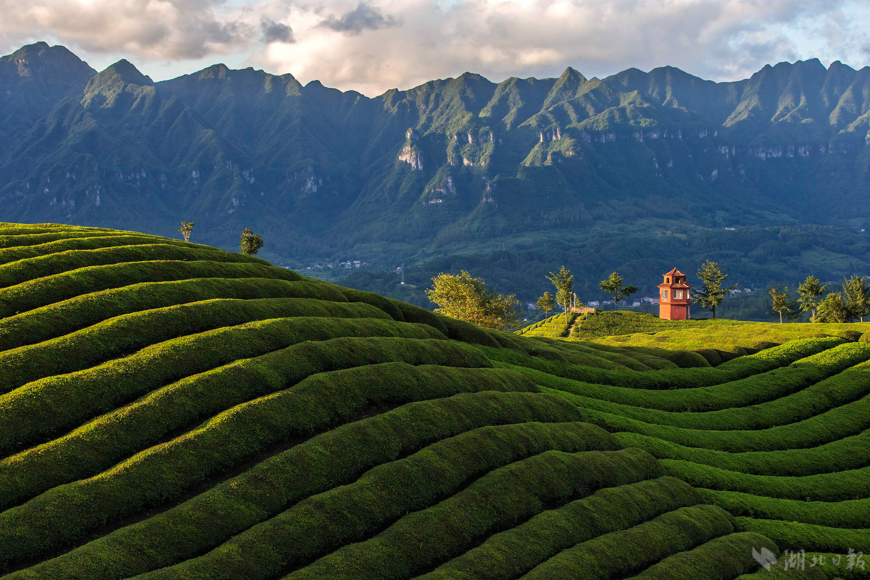 鸟鸣空山茶吐翠,云雾氤氲惹人醉.茶山绵绵延延,茶香清芬四溢.