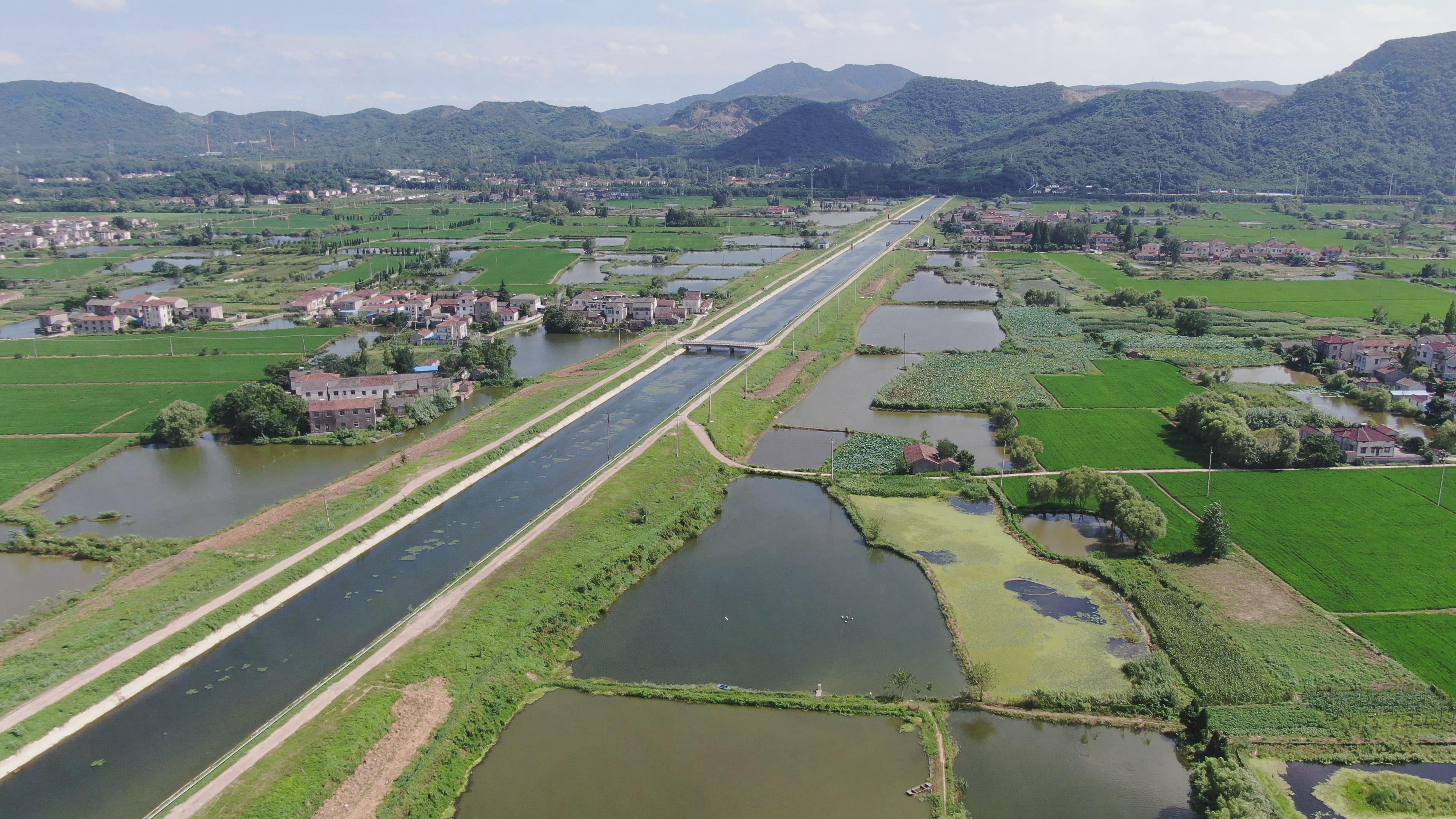 【走向我们的小康生活】镇江铜山村:二十年三次升级 蹚出水产小康路