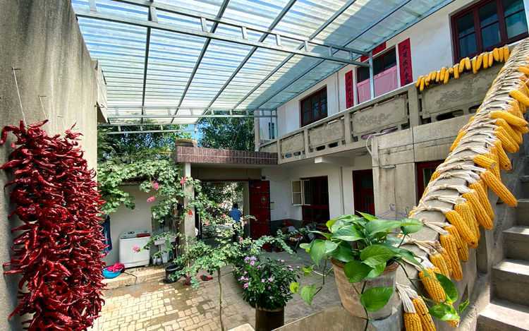 网站首页 地方传真 渭南 > 正文  走进渭南市大荔县范家镇雷北村,巷道