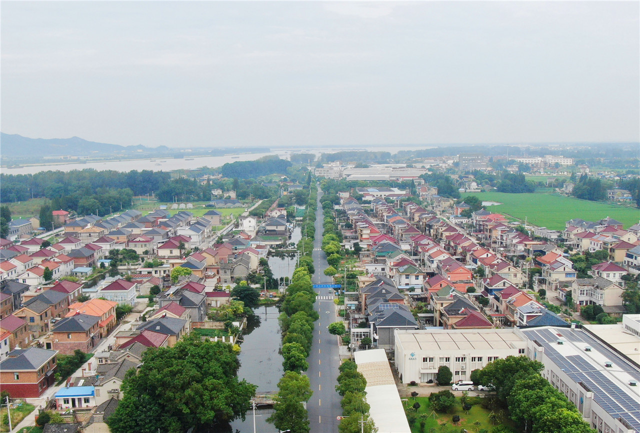 走向我們的小康生活丨江蘇揚中:讓交通線成風景線,讓農村路成幸福路