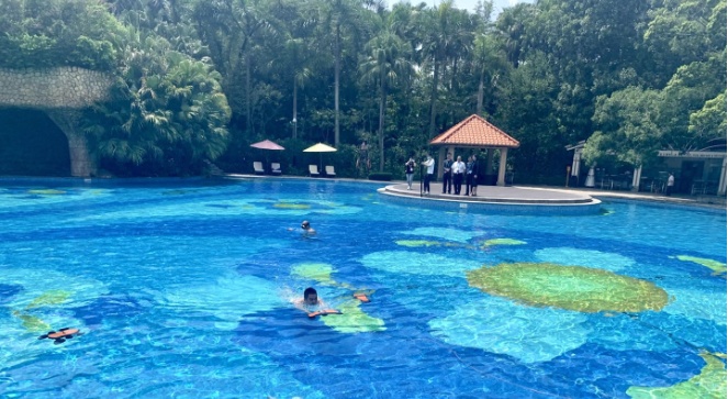 科技之光 深圳 水中飞行器亮相世界无人机大会