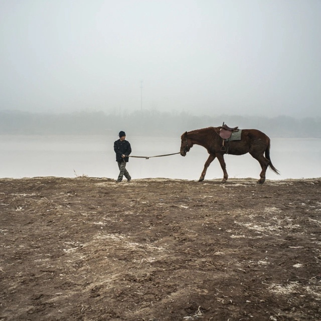 黄河岸边的放马人
