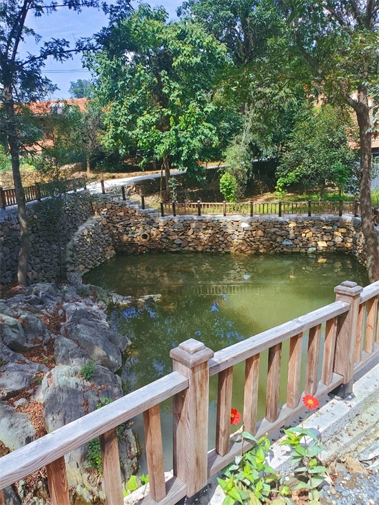走向我们的小康生活山东烟台莱阳市李家沟村山沟变田园古村成景区