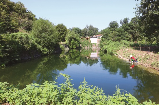 走向我们的小康生活|山东烟台莱阳市李家沟村:山沟变田园 古村成景区