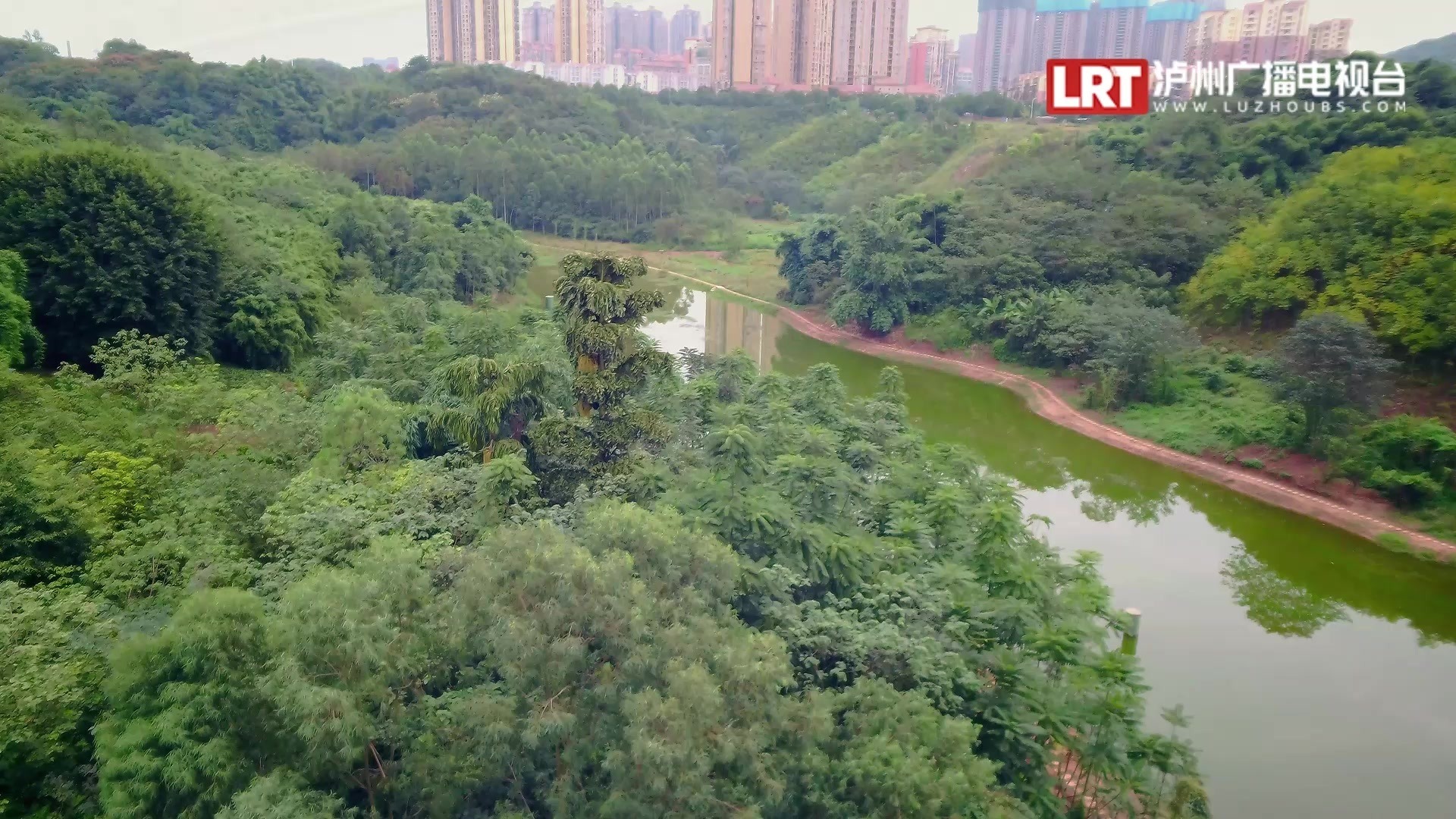【靓】人在画中游,小姐姐带你打卡泸州玉带河公园