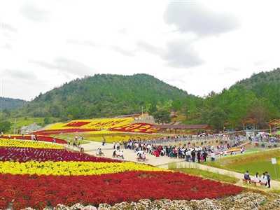 龙湖花海景区