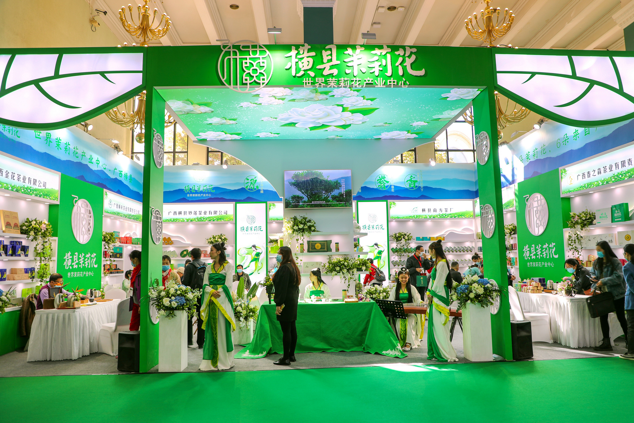 【城市节拍】广西横县推进茉莉花产业持续转型升级观察