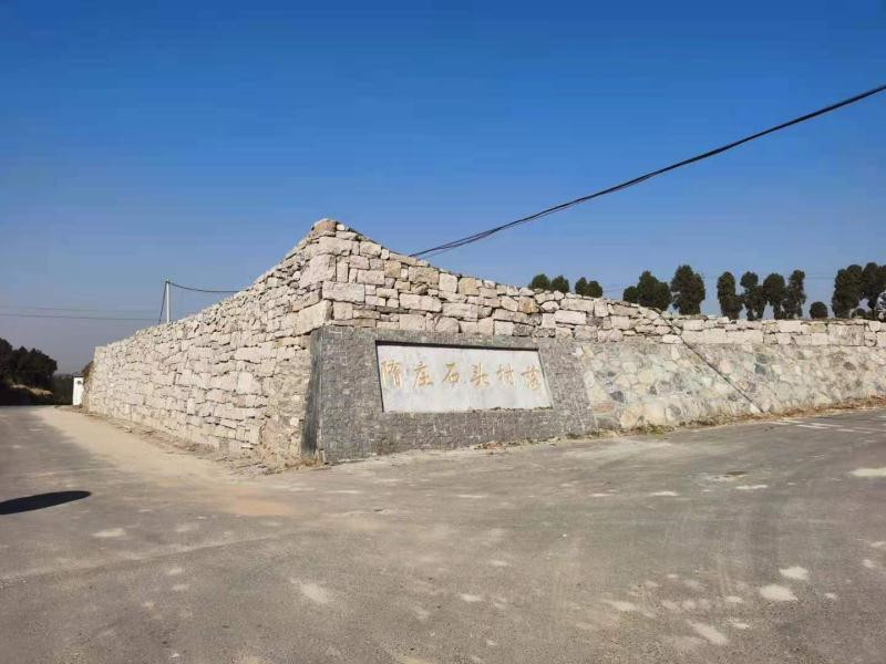 走向我们的小康生活|山东省济宁市嘉祥县纸坊镇隋庄村:提升古村景观