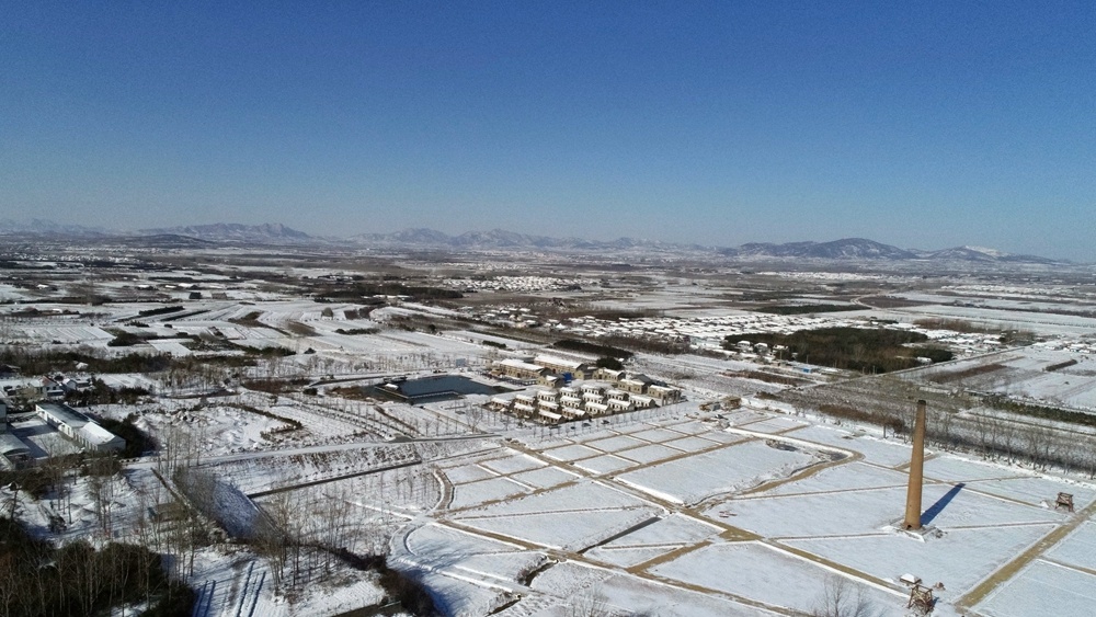 山东相册|日照市东港区涛雒镇:雪后风光 黑白渲染出水墨图